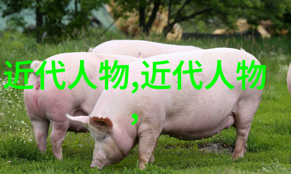 傅斯年
